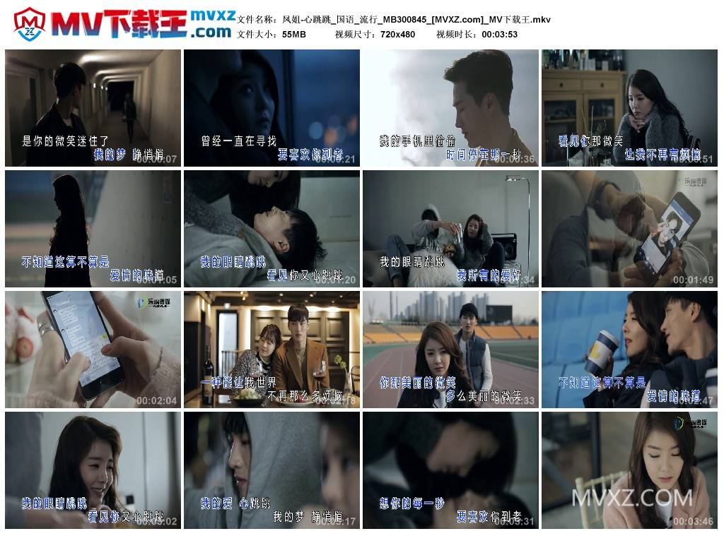 凤姐-心跳跳_国语_流行_MB300845